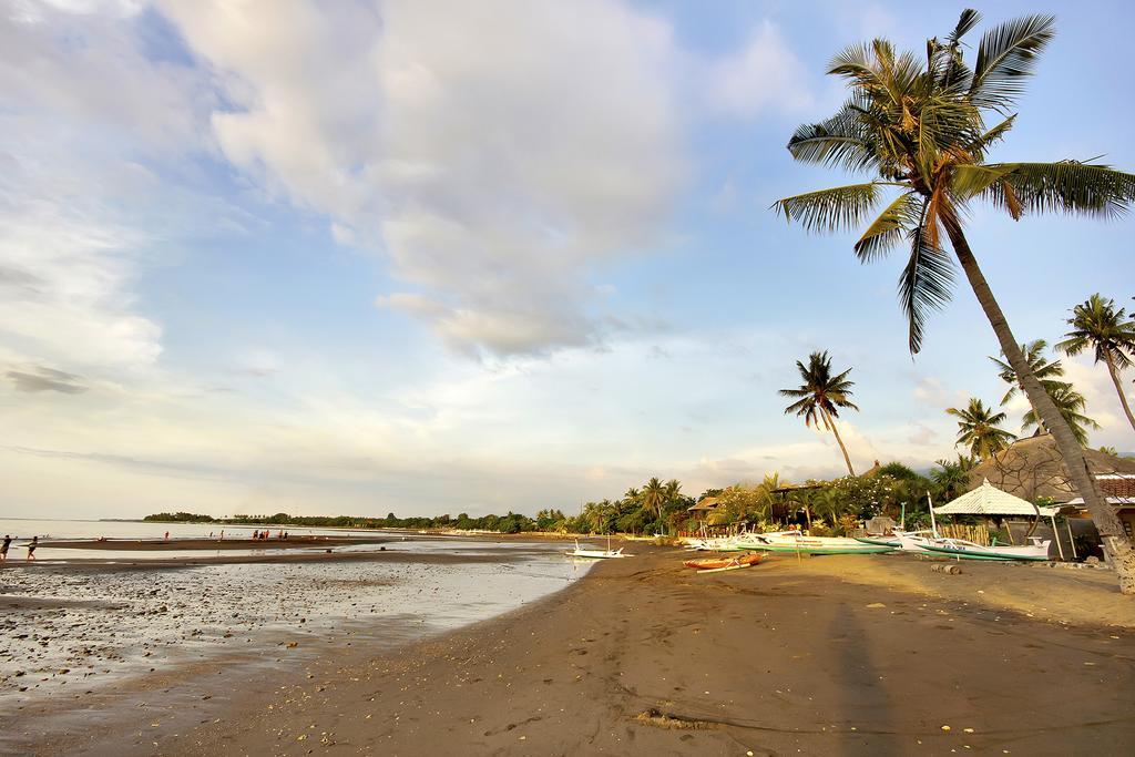 Lilin Lovina Beach Hotel Extérieur photo